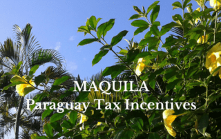 Maquila Paragauy Reexport Tax Incentive