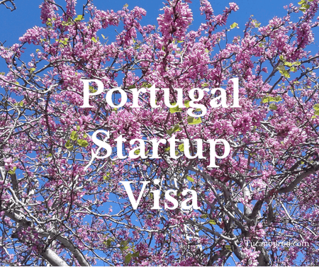 Portuguese Startup Visa