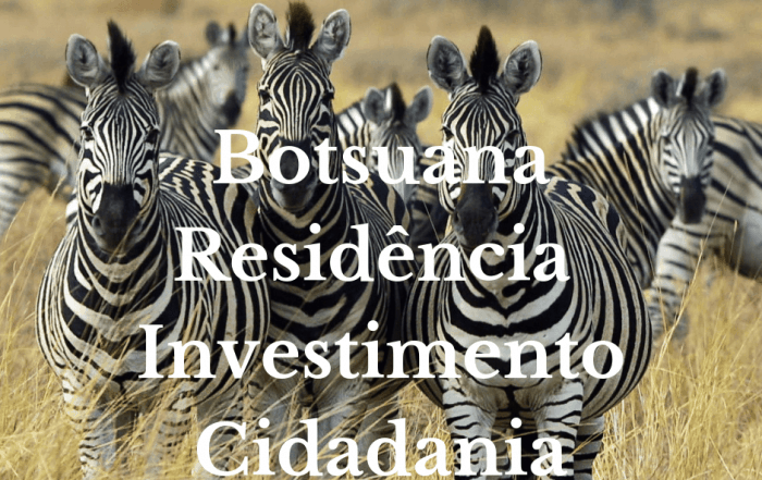 Botsuana cidadania, investimentos, imigracao, permisso de trabalho