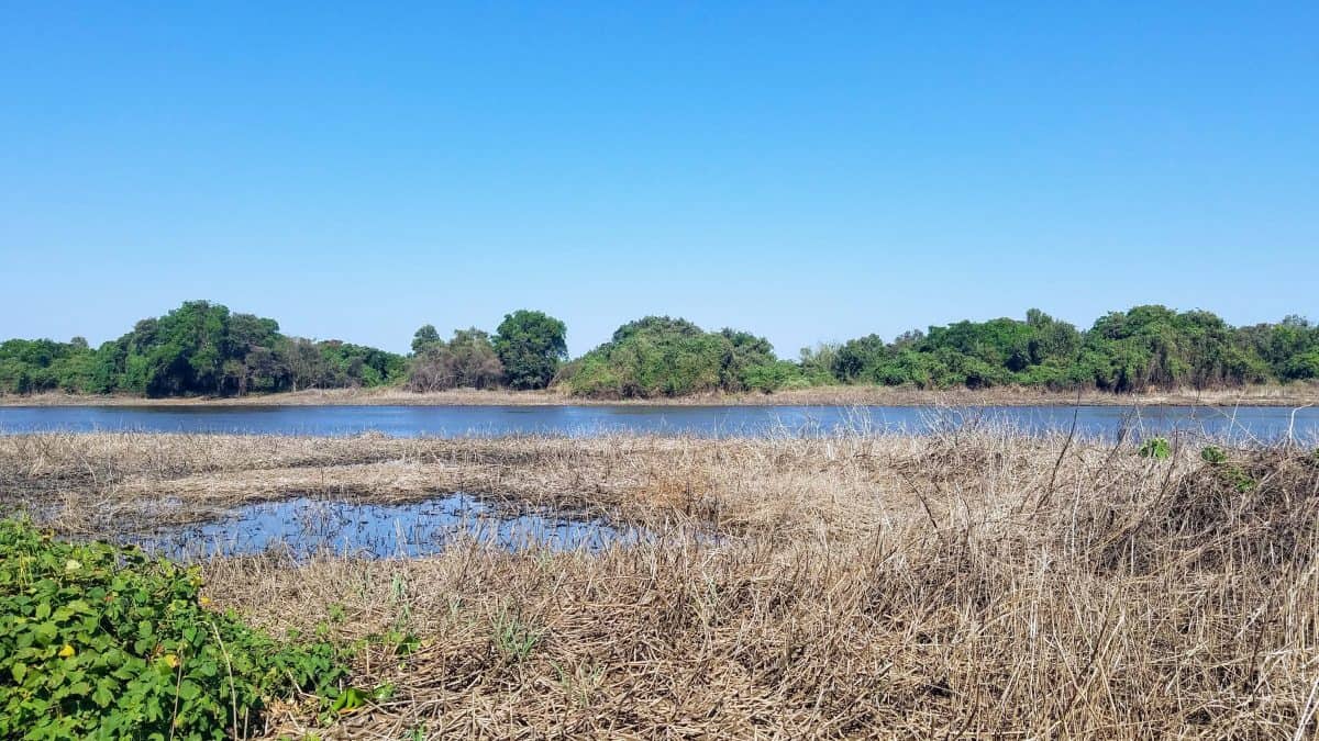 How can foreigners buy property in Paraguay? (Practical Guide)