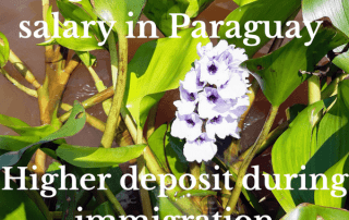 paraguay higher minimum salary