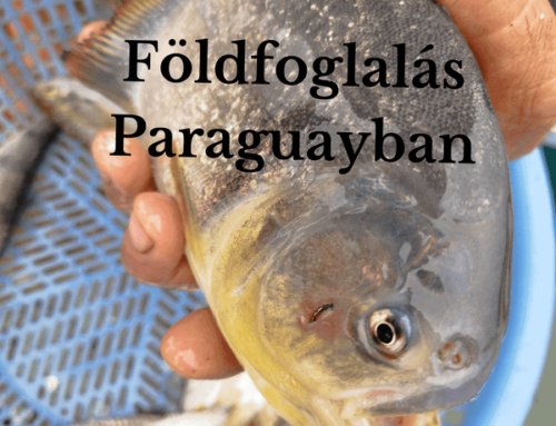 Hogyan lehet földet foglalni Paraguayban?